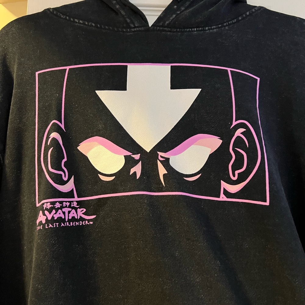Avatar The Last Airbender Aang Hoodie charcoal grey pink